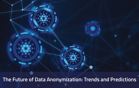 The Future of Data Anonymization: Predictions and Trends